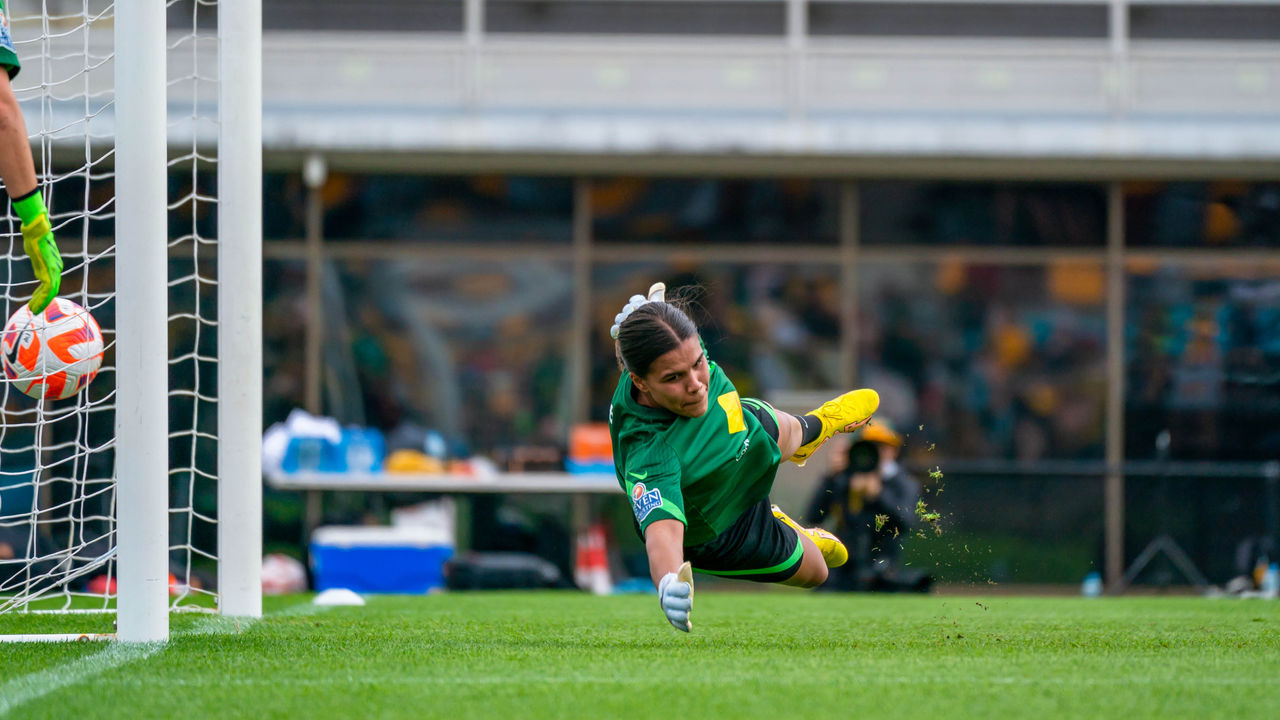 Soccer Ball in Net